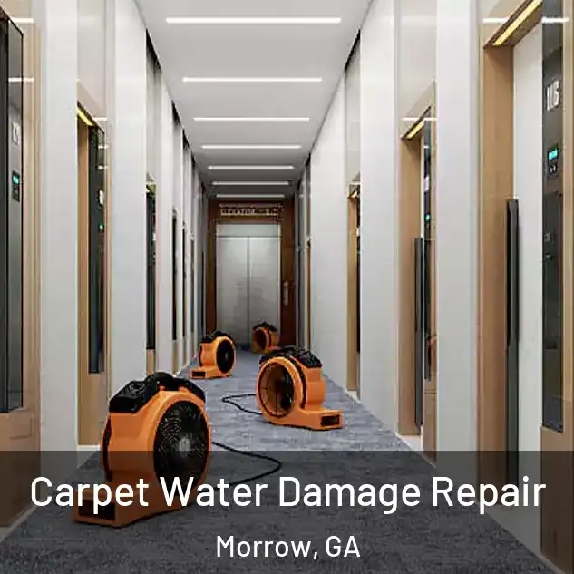  Carpet Water Damage Repair Morrow, GA