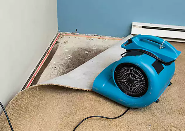 Your Water Damage Experts in Morrow, GA