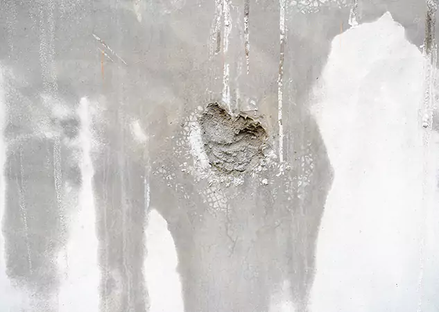 Your Mold Mitigation Solutions Partner in Morrow, GA