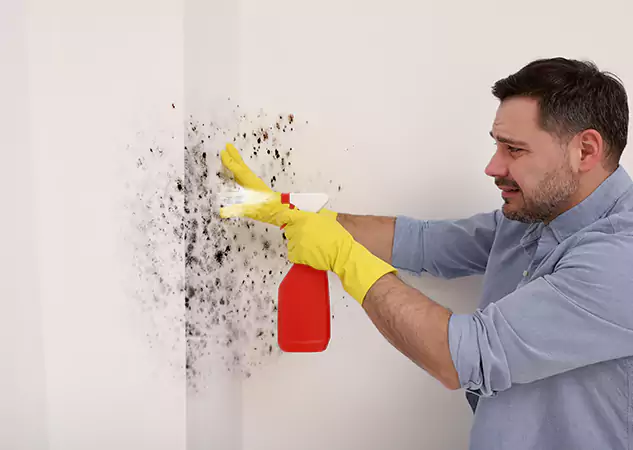 Your Water Mold Fire Restoration Partner in Morrow, GA