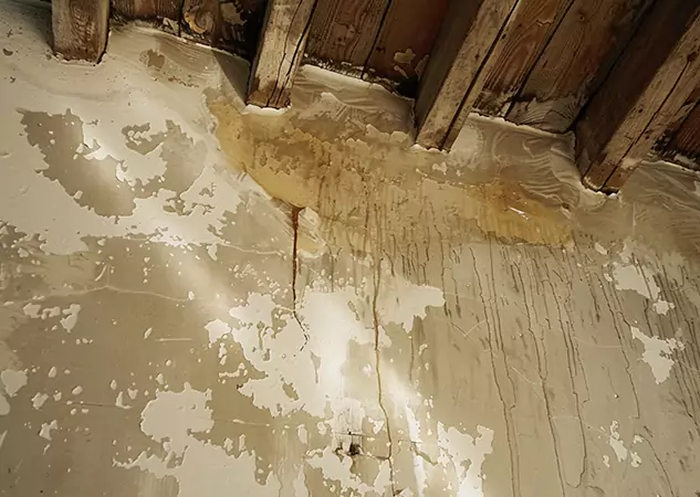 Your Trusted Restoration Company in Morrow, GA