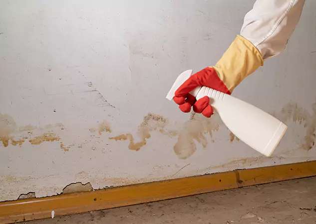 Your Water Restoration and Mold Remediation Specialists in Morrow, GA