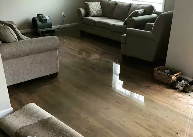 Your Trusted Restoration Company in Morrow, GA