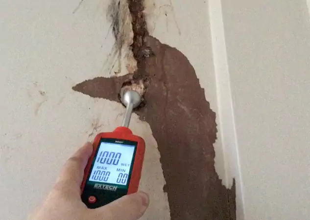 Your Water Damage Assessment Partner in Morrow, GA