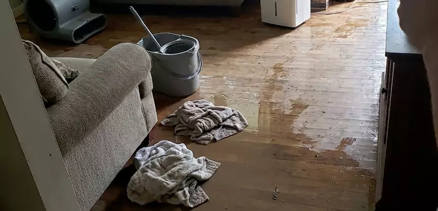 Professional Basement Water Remediation Services in Morrow, GA