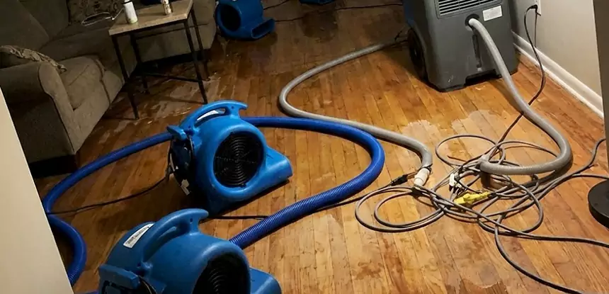 Basement Flood Restoration Services in Morrow