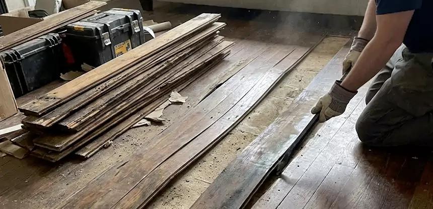 Wood Rot and Fungus Repair in Morrow
