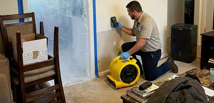 Carpet Water Damage Repair Morrow