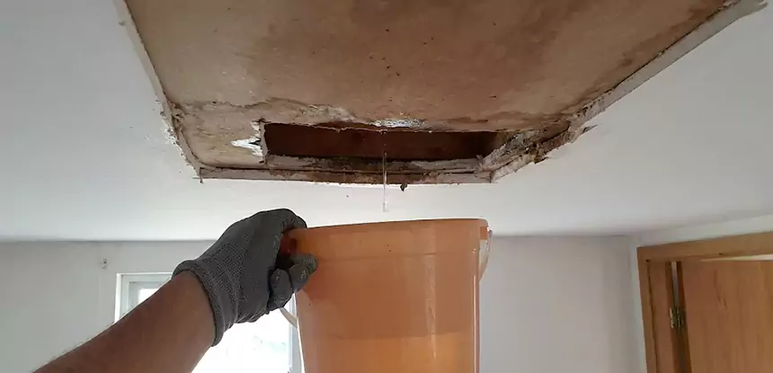 Ceiling Mold Repair Morrow