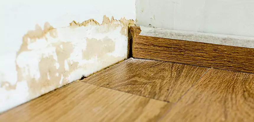 Professional Fix Water Damaged Wood Services in Morrow, GA