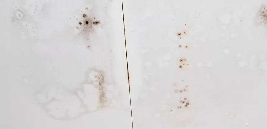 Professional Water Stain Repair Services in Morrow, GA