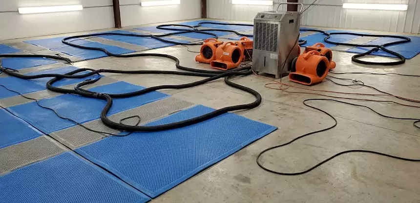 Professional Flooded Carpet Drying Services in Morrow, GA