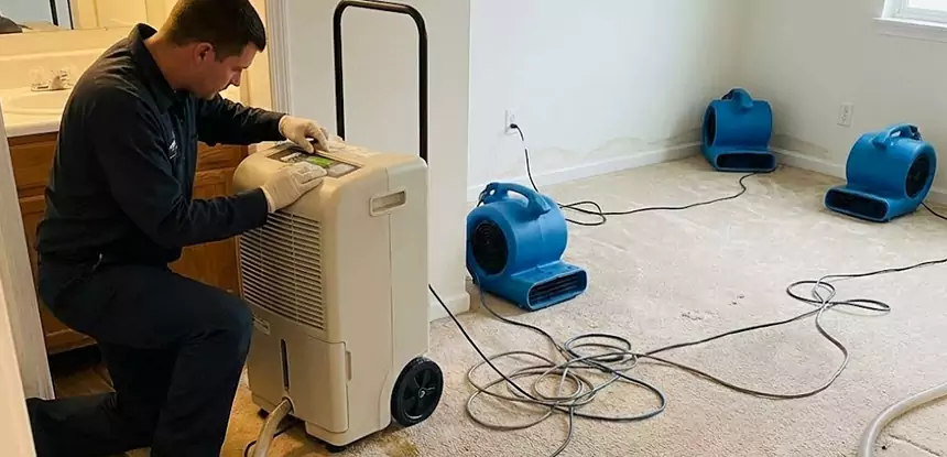 Professional Wet Carpet Removal Services in Morrow, GA