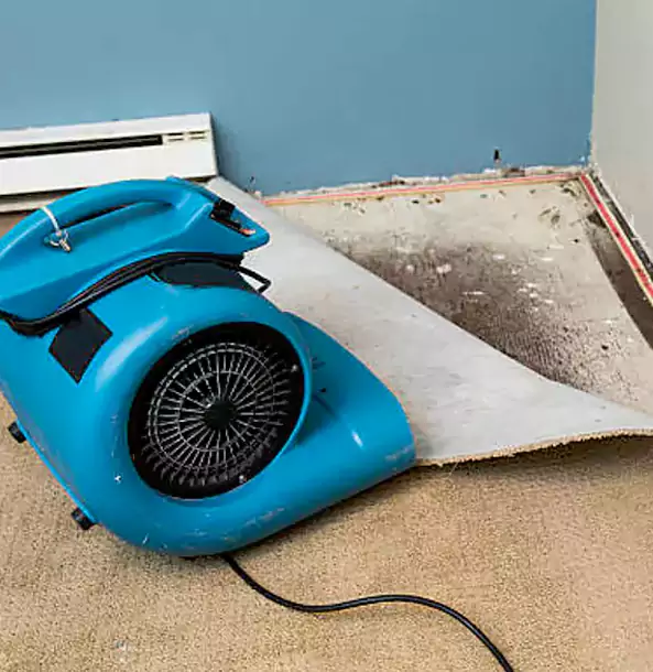 Why Morrow Trusts Morrow Restoration Pro for Carpet Flood Recovery?