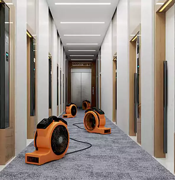 Why Morrow Trusts Morrow Restoration Pro?