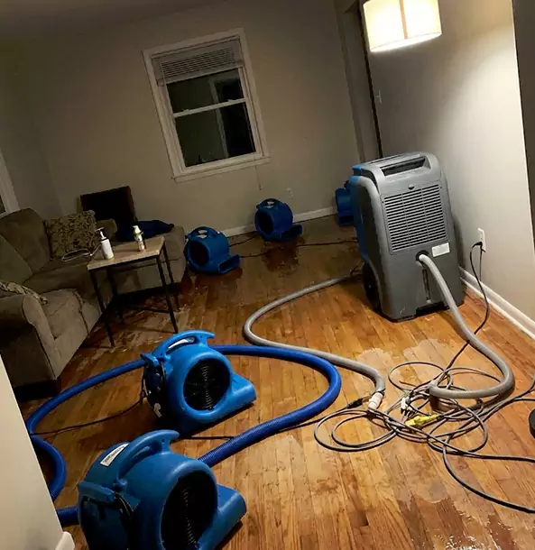 Why Morrow Property Owners Rely on Morrow Restoration Pro for Remediation?