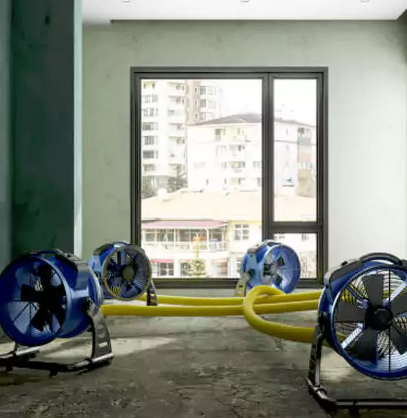 Why Morrow Property Owners Trust Morrow Restoration Pro for Water Damage Drying?