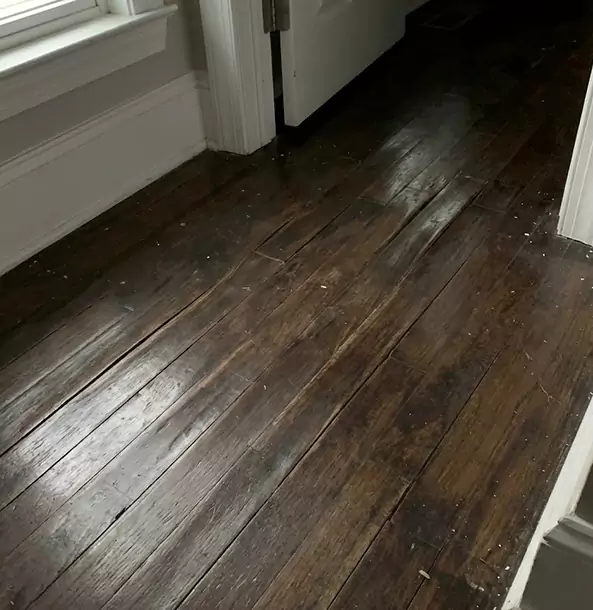 Why Morrow Homeowners Trust Morrow Restoration Pro to Fix Water Damaged Wood?