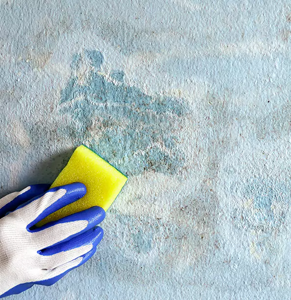 Why Morrow Restoration Pro Is the Right Choice in Morrow, GA?