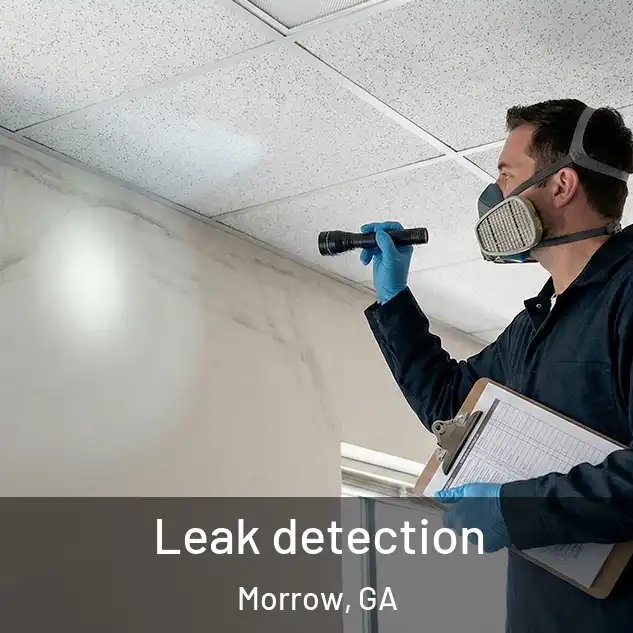  Leak detection Morrow, GA