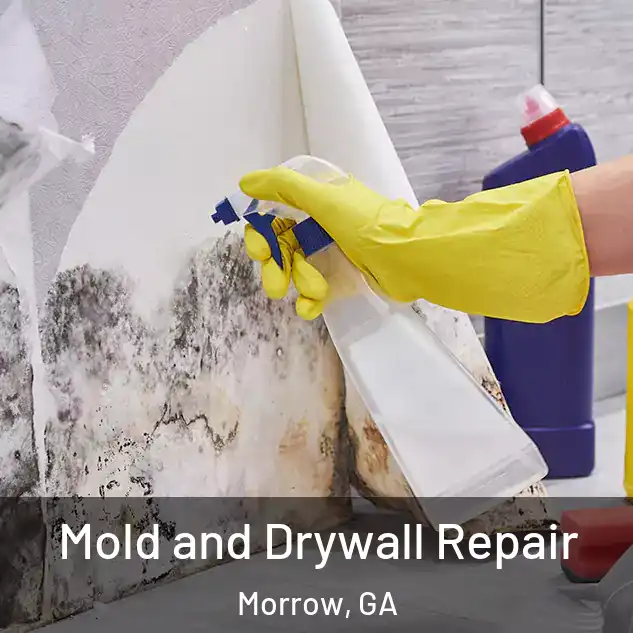  Mold and Drywall Repair Morrow, GA