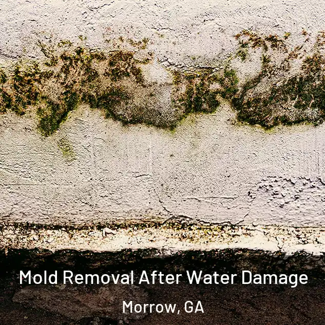  Mold Removal After Water Damage Morrow, GA