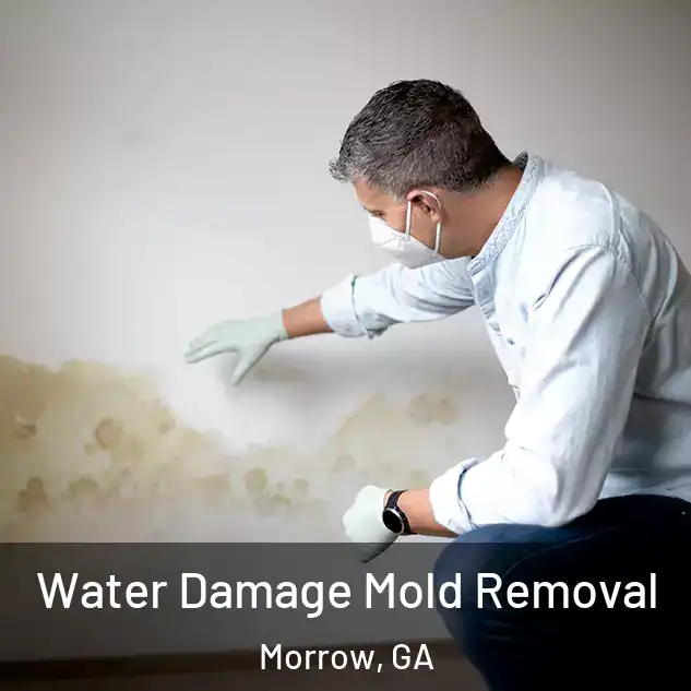  Water Damage Mold Removal Morrow, GA