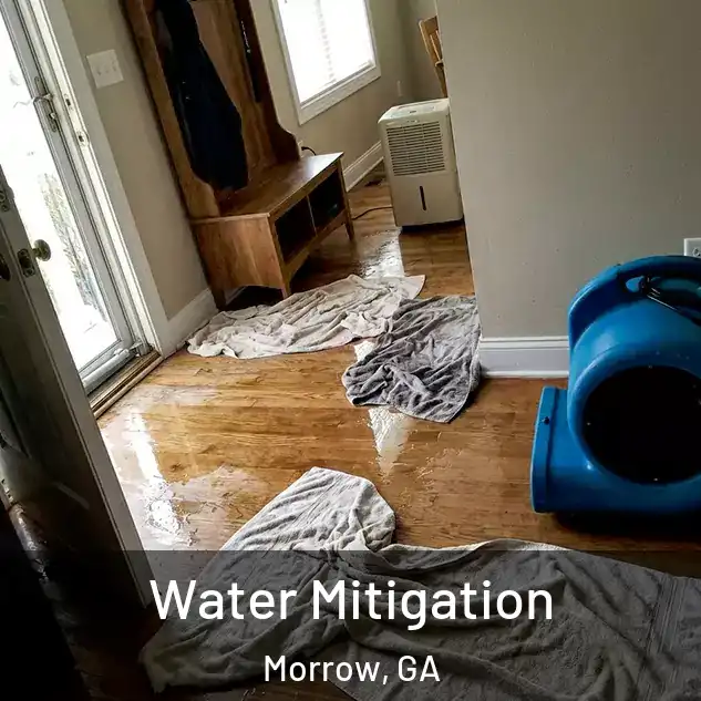  Water Mitigation Morrow, GA