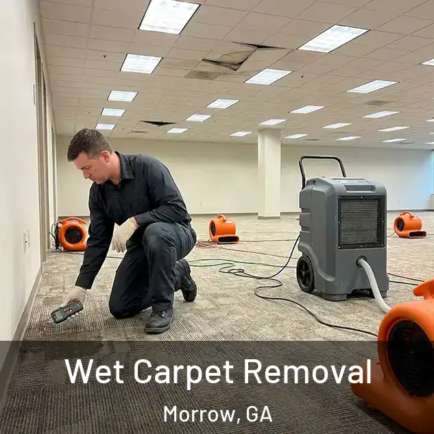  Wet Carpet Removal Morrow, GA